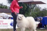 CACS Mâle Sorges 2019